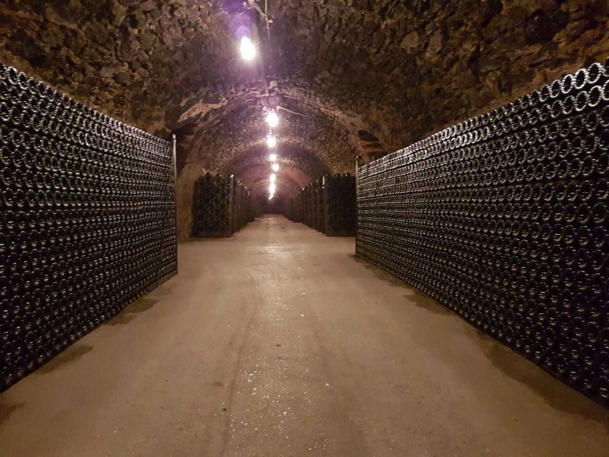 Epernay: Guided Tour of Champagne Cellar With Tastings - Accessibility Information