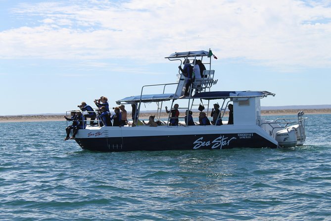 Espiritu Santo Island Snorkel & Sea Lion Adventure - Cancellation Policy Details