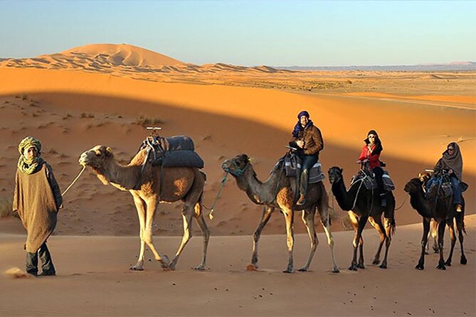 Evening Desert Safari Dubai - Contact and Assistance