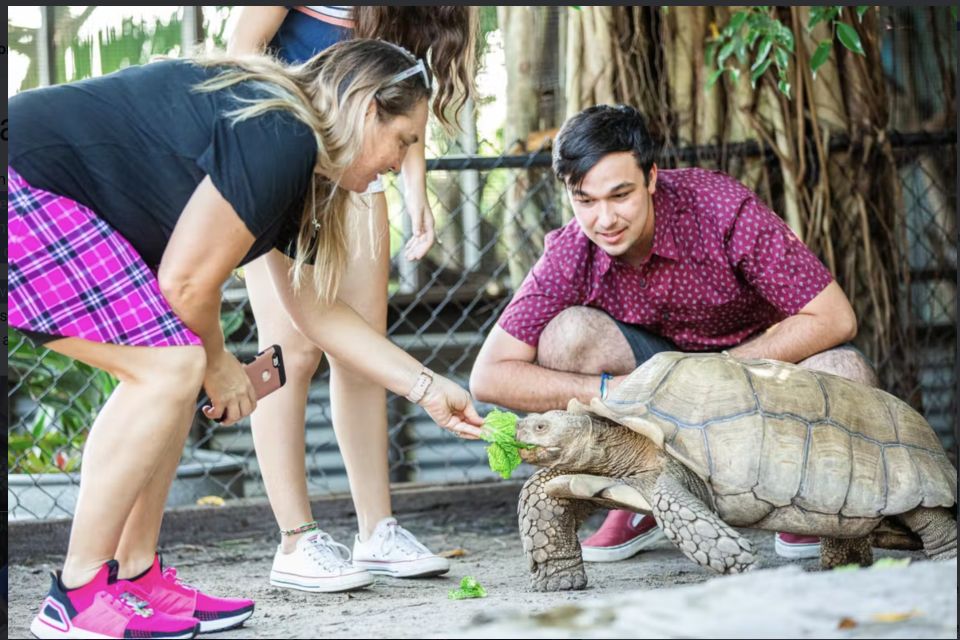 Everglades: Sawgrass Park Reptile Exhibit Private Tour - Location and Contact Details