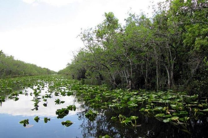 Everglades Tour in Miami - Additional Tips