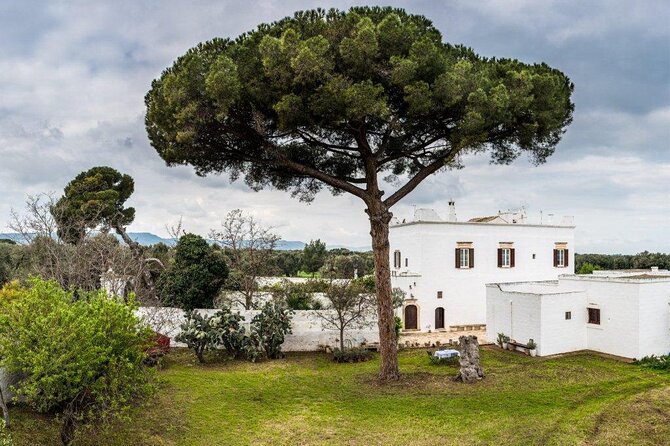 EVO Oil Tasting at a Masseria in Ostuni - Last Words