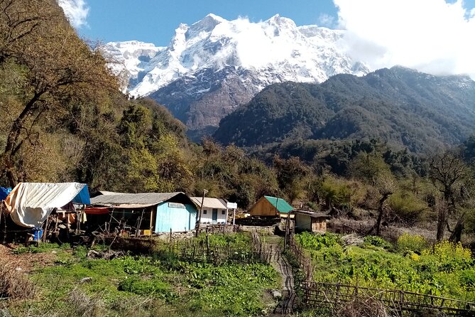 Exciting Kaupche Glacier Lake Very Short Trek From Pokhara Nepal - Last Words