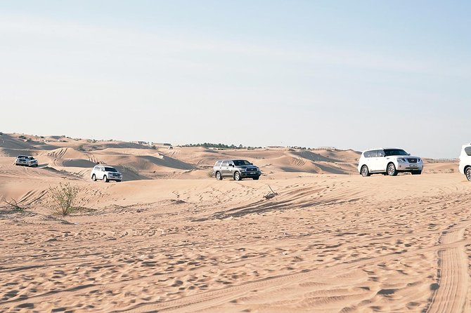 Exclusive Sunrise Desert Safari With Camel Ride Sand Boarding Dune Bashing - Common questions