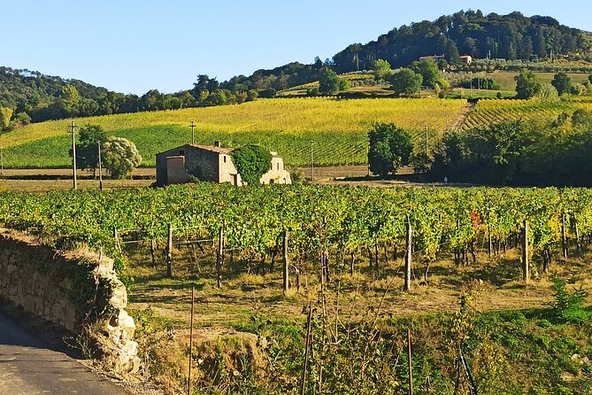 EXCLUSIVE Wine Tour in Chianti & San Gimignano (Lunch & Wine Tasting Included) - Common questions