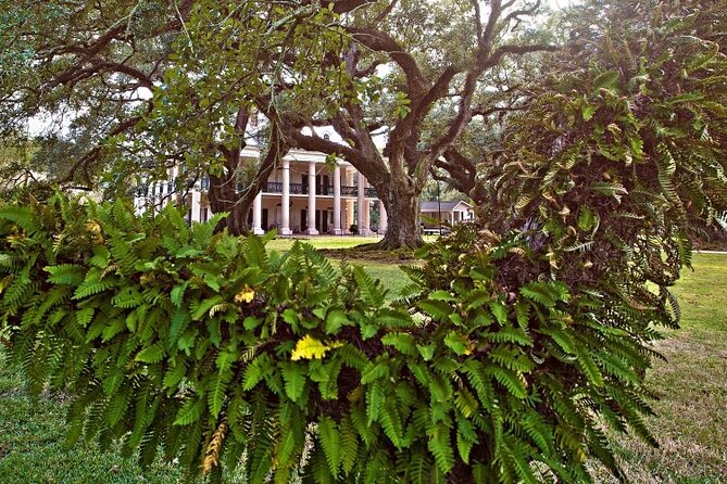 Explore Oak Alley Plantation Guided Tour With Transportation - Booking Information