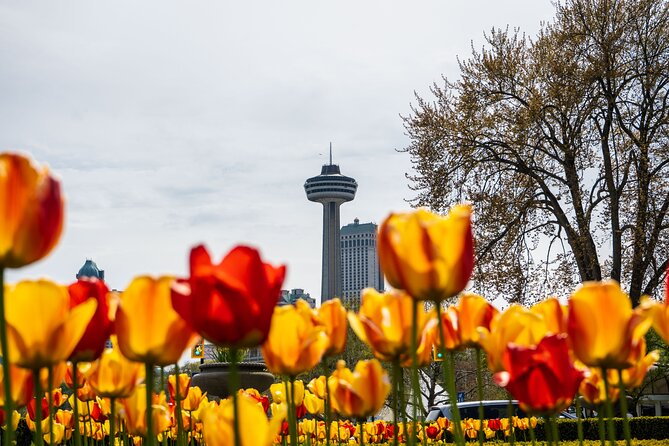 Exploring the Canadian Falls: Boat Cruise & Skylon Tower From USA - Skylon Tower: Observation Deck Details