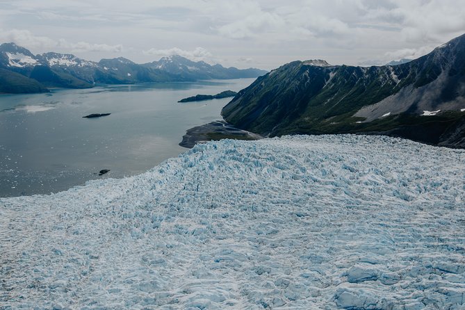 Extended Bear Glacier Scenic Flight - Customer Feedback and Reviews