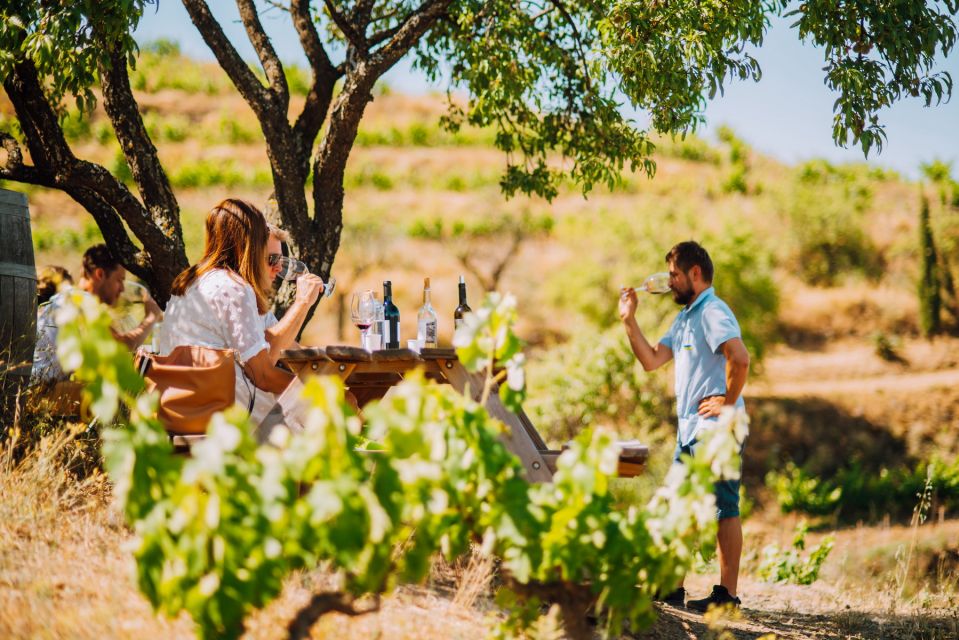 Falset: Guided Wine Tour to the Priorat by a Local - Booking Information