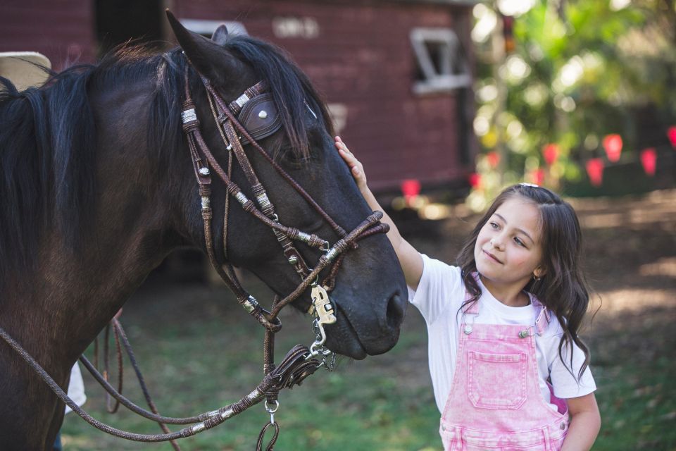 Family Fun With Peruvian Paso Horses: Ride, Feed, and Bond - Meeting Point