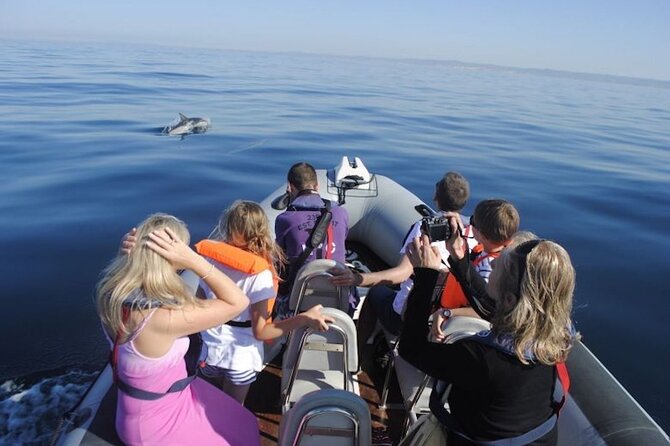 Faro Small-Group Marine Wildlife Cruise - Support and Assistance