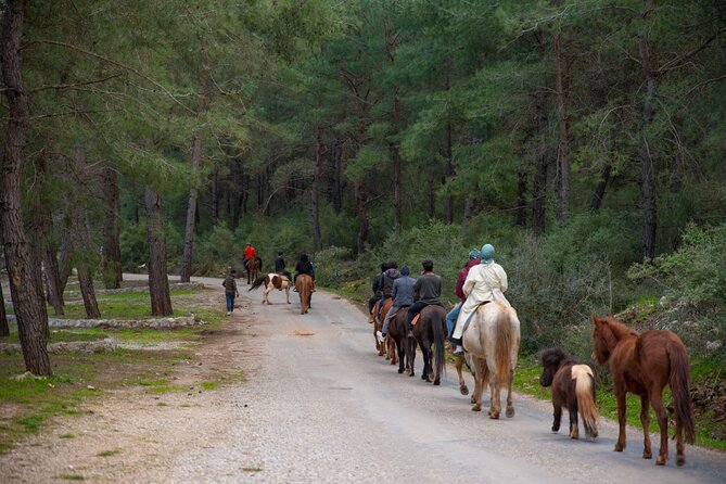 Fethiye Horse Riding Experience With Free Hotel Transfer Service - Reviews and Ratings