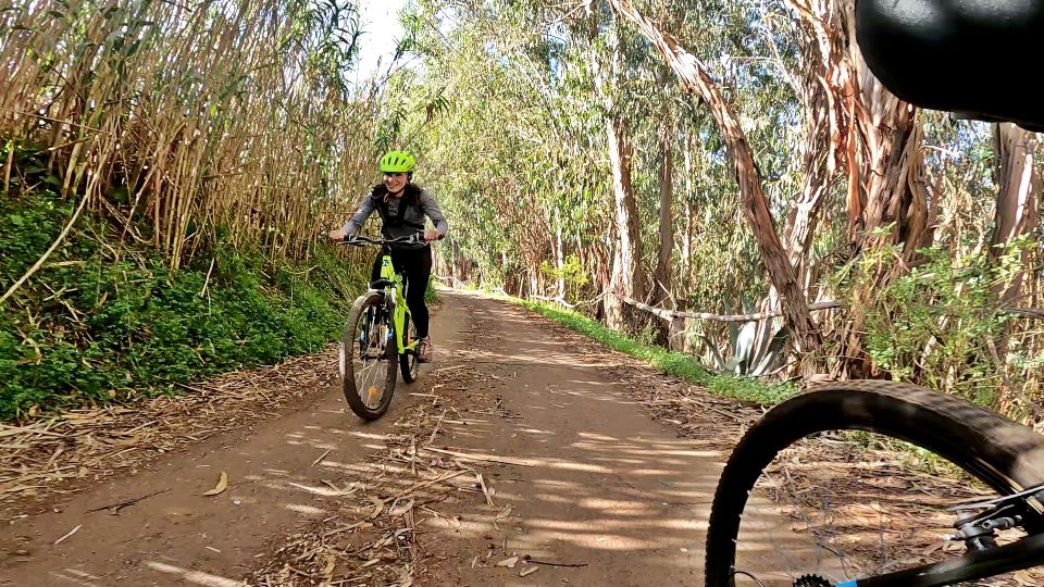 Firgas: Gran Canaria Forest Mountain Bike Tour - Additional Information