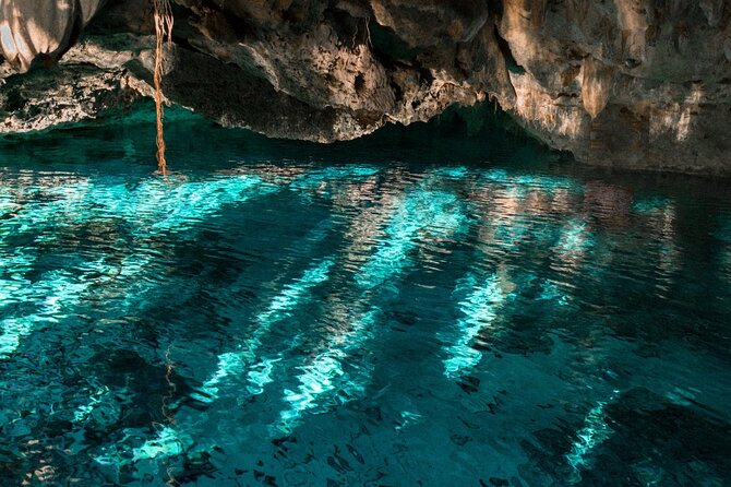 Five Cenotes Jungle Experience in the Riviera Maya - Traveler Photos and Ratings