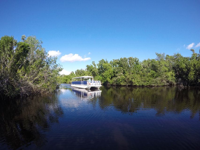 Flamingo Marina: Backcountry Boat Tour of the Everglades - Customer Reviews and Verification