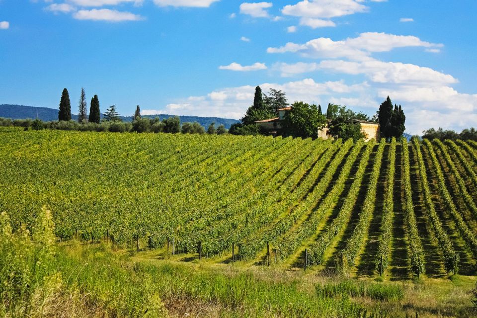 Florence: San Gimignano, Siena, and Chianti -Day Tour - Common questions