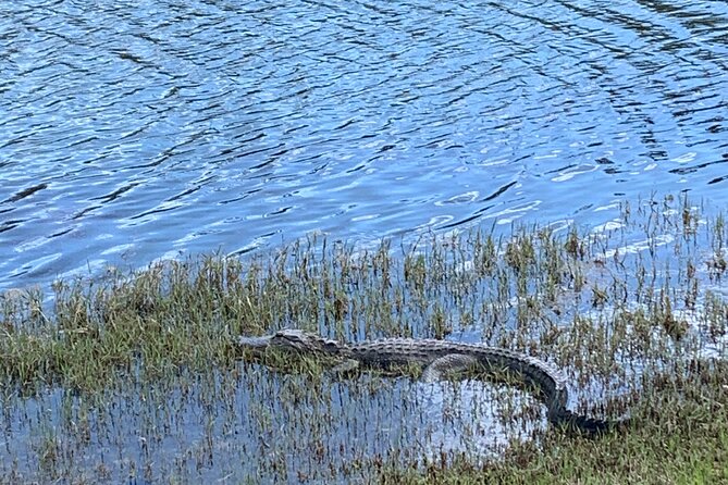 Florida Backroads E-Bike Tour - Additional Information