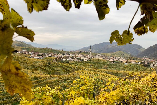 Food and Wine Tour on the Prosecco Hills From Venice - Wine Tasting Sessions