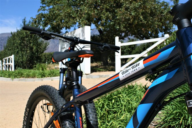 Franschhoek Half-Day Private Bike Tour With Lunch and Wine  - Cape Town - Customer Reviews