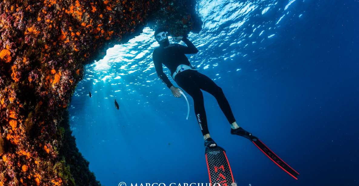 Freediving in the Wild of the Amalfi Coast/Capri/Sorrento: - Directions