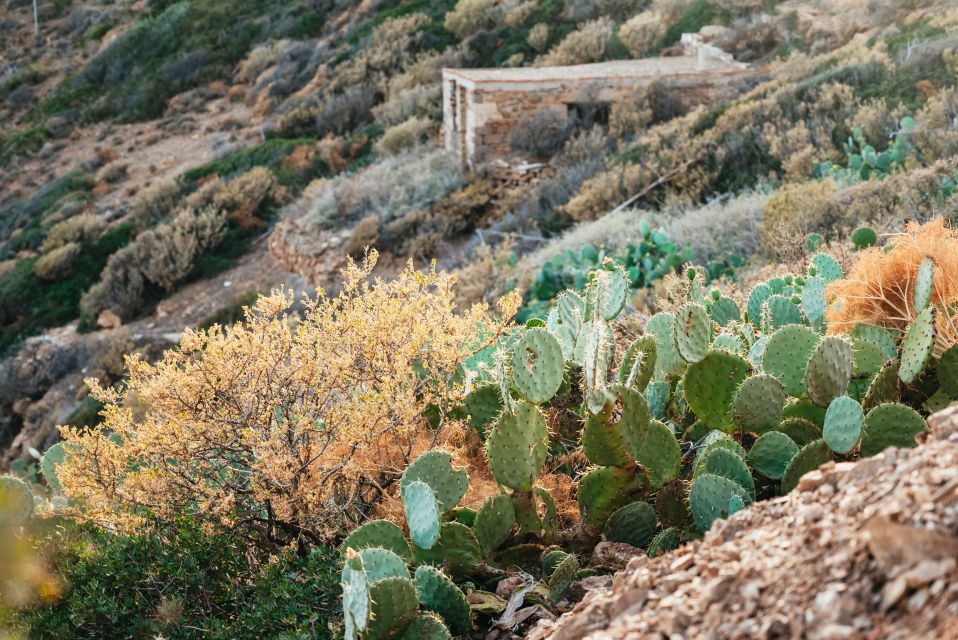 From Athens: Cape Sounion & Temple of Poseidon Half Day Tour - Booking Information