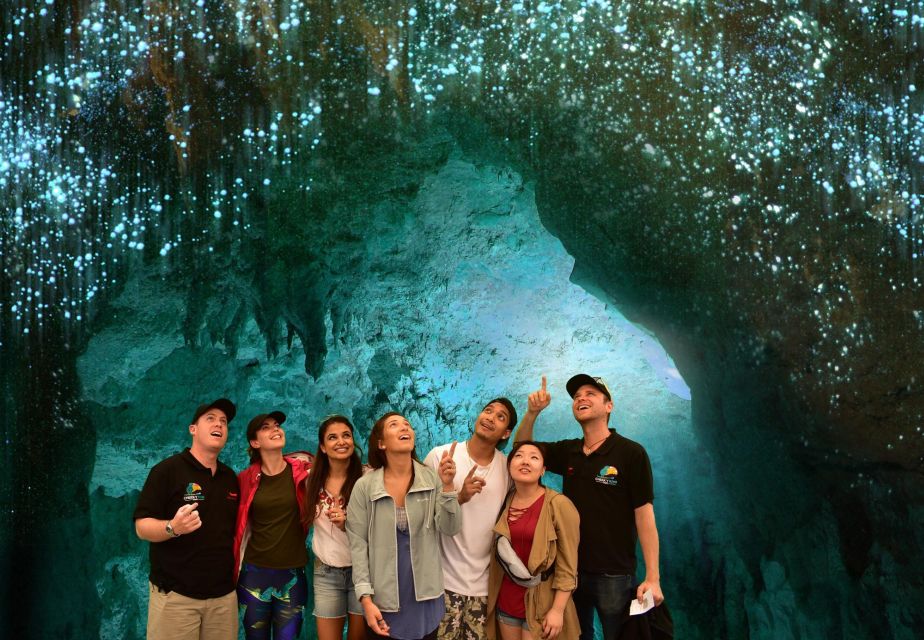 From Auckland : Waitomo Caves and Rotorua With Te Puia - Customer Feedback and Recommendations