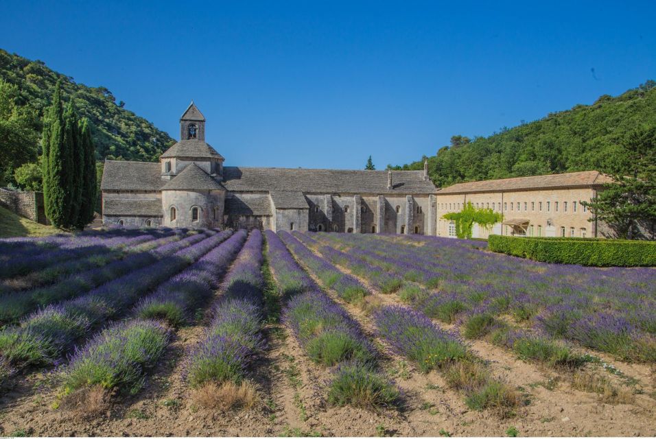 From Avignon: Full-Day Experience in Luberon With Lunch - Professional Driver-Guide