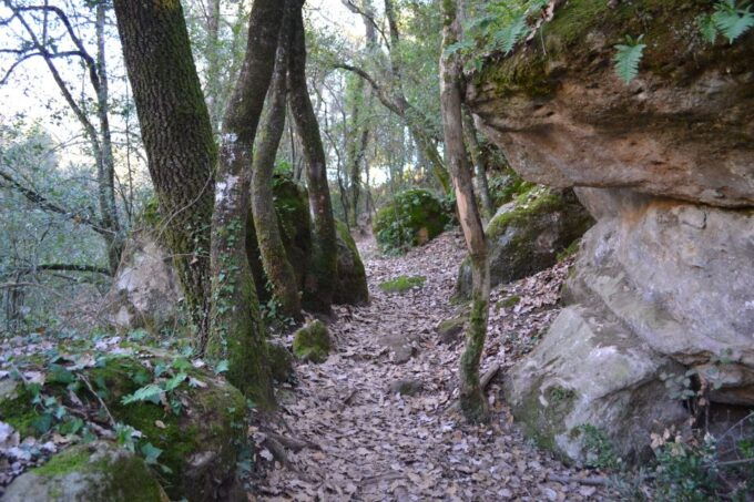 From Barcelona: Medieval Villages and Volcanic Hiking Tour - Discover Besalú Village Charm