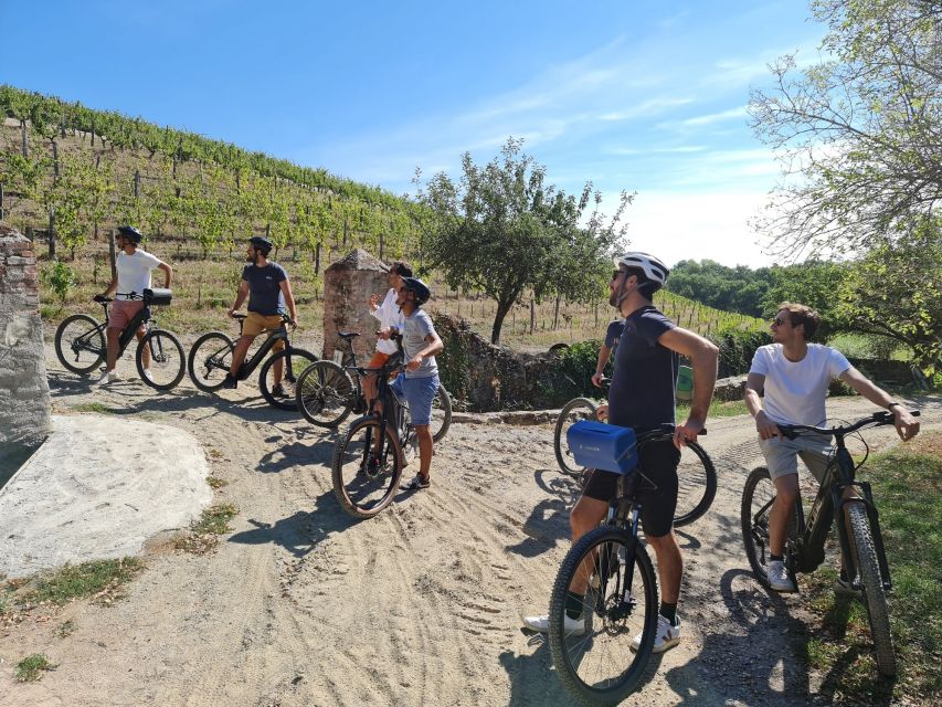 From Beaugency: 5-Day Bike Tour of the Loire Vally Wineries - Booking Information