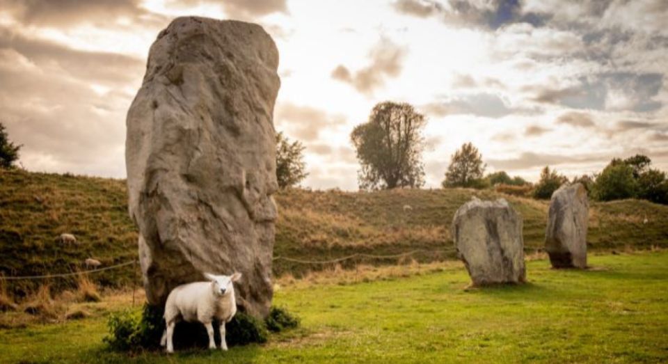 From Bristol: Stonehenge and Cotswold Villages Day Tour - Customer Reviews