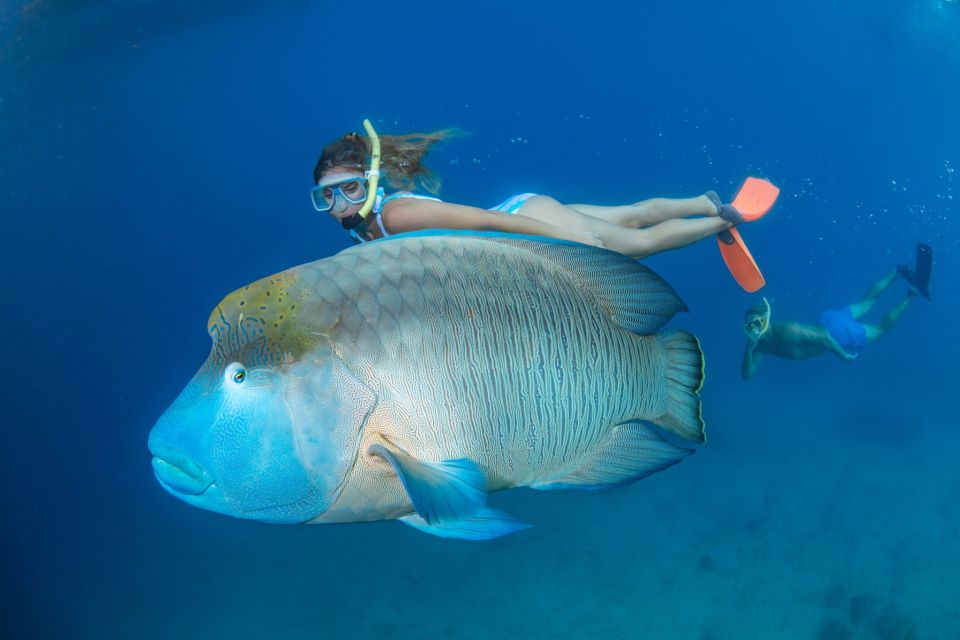 From Cairns: Great Barrier Reef Cruise and Activity Platform - Customer Reviews