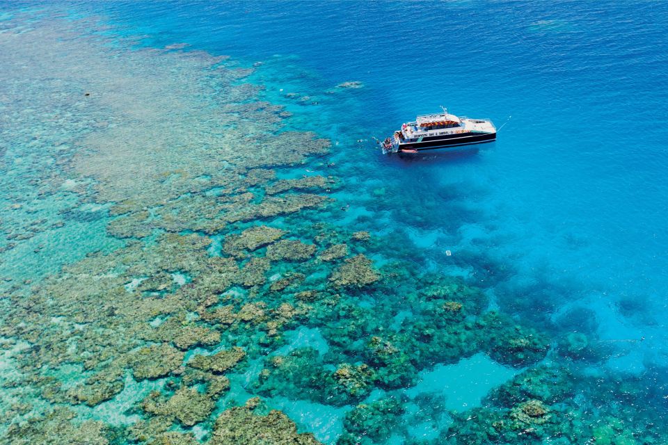 From Cairns: Great Barrier Reef Snorkeling Trip With Lunch - Indigenous Welcome