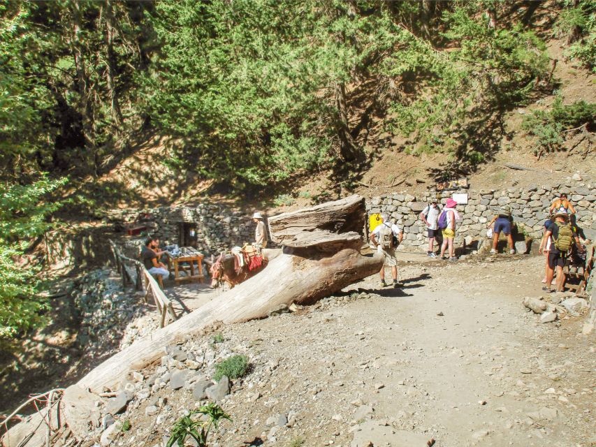 From Chania: Full-Day Samaria Gorge Trek Excursion - Tips for the Trek