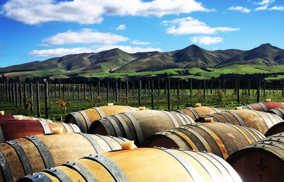 From Christchurch: Guided Local Wine Tours in Waipara - Cancellation Policy