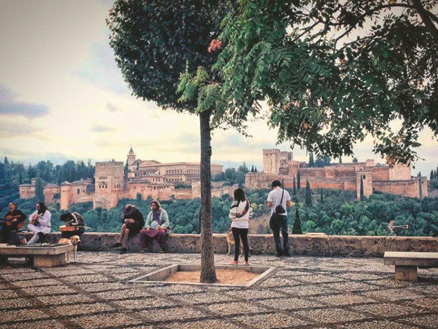 From Costa Del Sol: Granada Day Trip Free Time 5h - Meeting Points and Logistics