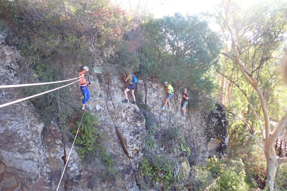 From Estepona: Vía Ferrata El Caimán Guided Climbing Tour - Booking Information