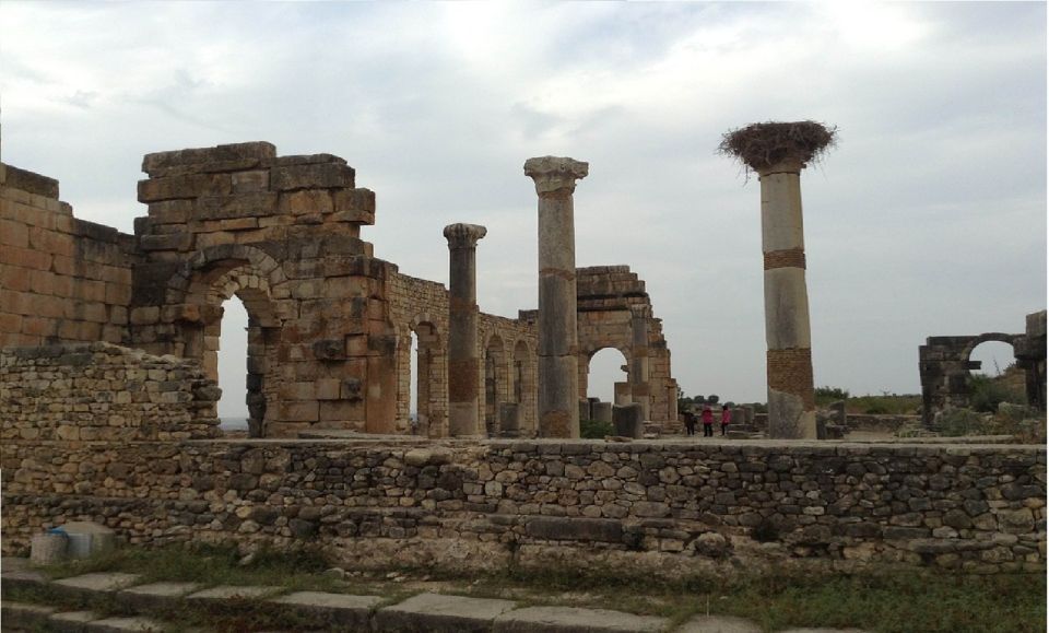 From Fez: Volubilis Moulay Idriss & Meknes Full-Day Trip - Last Words