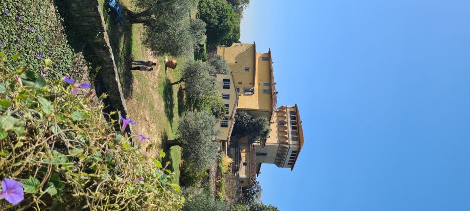 From Florence: Horseback Ride and Olive Oil Tour With Lunch - Inclusions