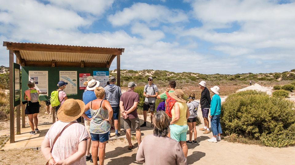 From Goolwa: Half-Day Coorong Experience - Activity Description