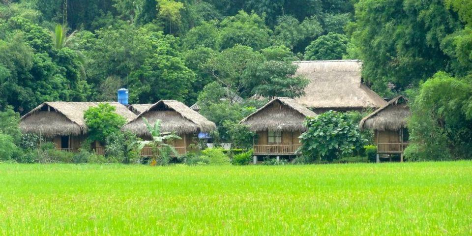 From Hanoi: Mai Chau With Biking To Admire Rice Fields - Tips for an Immersive Adventure