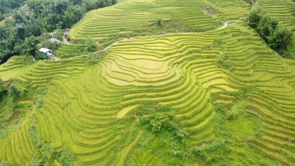 From Hanoi: Sapa 2 Days 1 Night Trekking With Local People - About This Activity