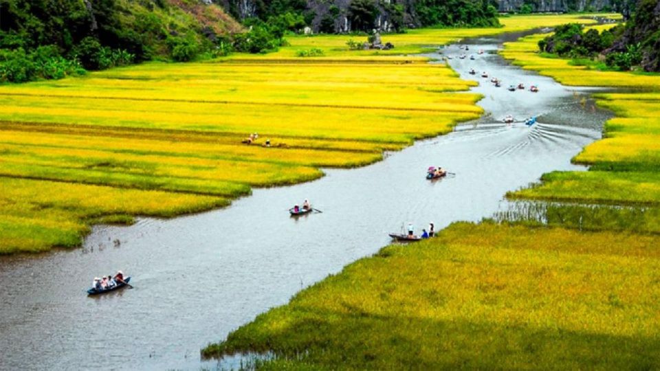 From Hanoi: Tam Coc, Hoa Lu & Mua Caves Full-Day Group Trip - Logistics and Return