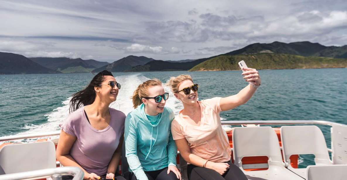 From Havelock: Marlborough Sounds Mail Boat Full-Day Cruise - Additional Details