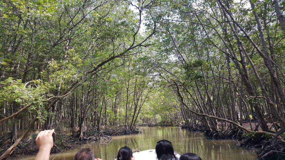 From Ho Chi Minh: Can Gio Mangrove Forest & Monkey Island - Transportation and Logistics