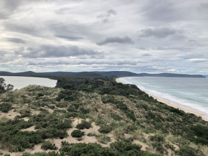 From Hobart: Bruny Island Nature and Produce Full-Day Tour - Important Information