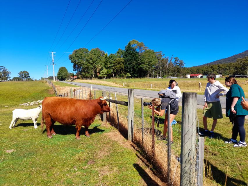 From Hobart: Cradle Mountain Full Day Tour - Additional Details