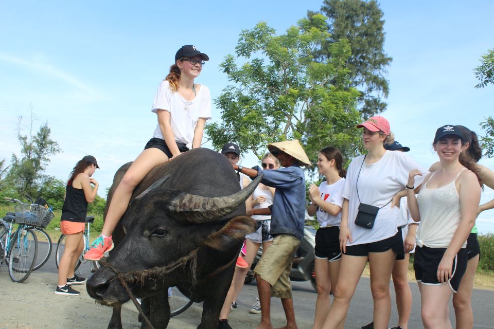 From Hoi An: Half-Day Tra Que Vegetable Village Bike Tour - Exclusions