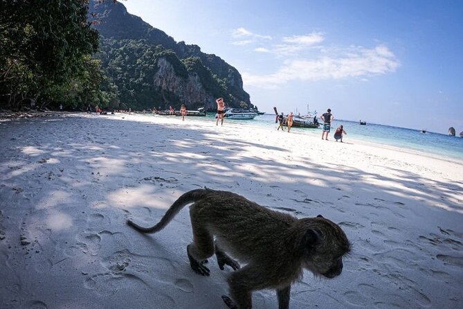 From Krabi to Phi Phi Islands Speedboat Day Tour - Lunch and Refreshment Break