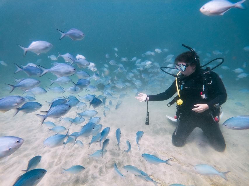 From Leigh: Goat Island Try Scuba Diving Experience - Important Information