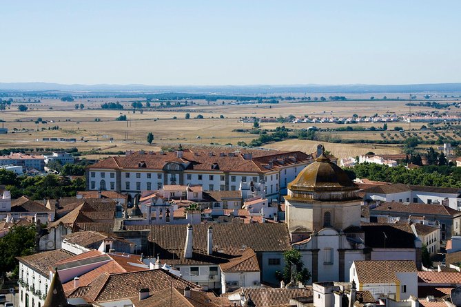 From Lisbon to Évora With Winery and Factory of Cortiça, Private Tour - Local Guide Insights